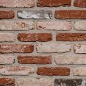 Decoratiuni gradina