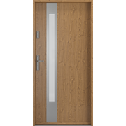 UȘĂ INTRARE PORTA SAFE RC2 D1