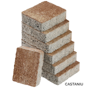 Pavaj Castrum Castaniu Leier