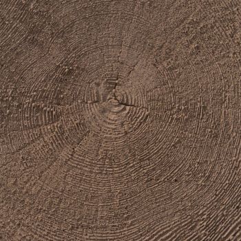 Dale bradstone bucată de copac semmelrock maro
