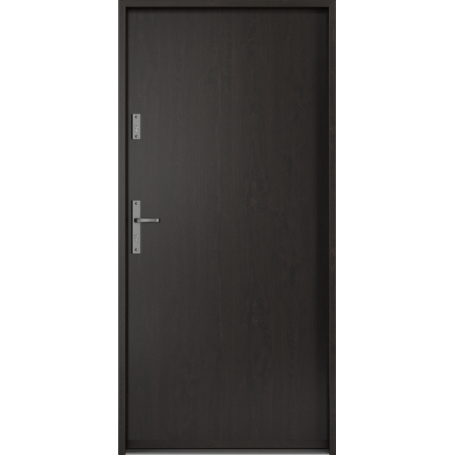 UȘĂ INTRARE PORTA SAFE RC2