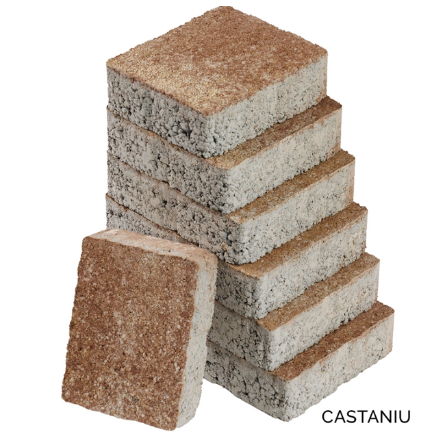Pavaj Castrum Castaniu Leier